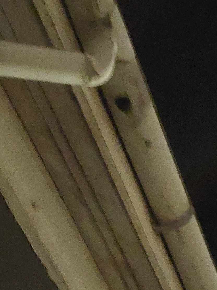 Hjælp til at reparere et hul i min tagrende