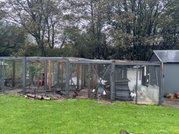 Presenning over hønsegård