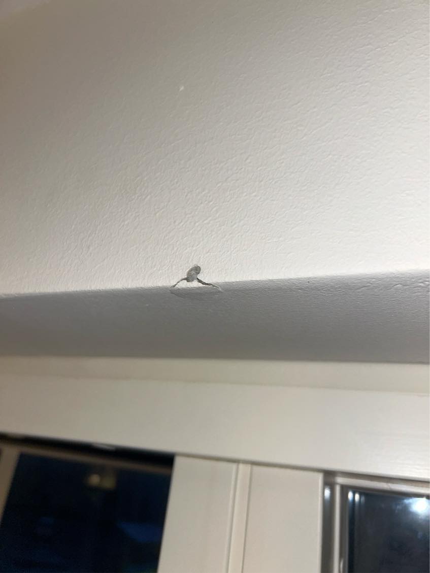 Hjælp til udbedring af huller og ophæng af billede