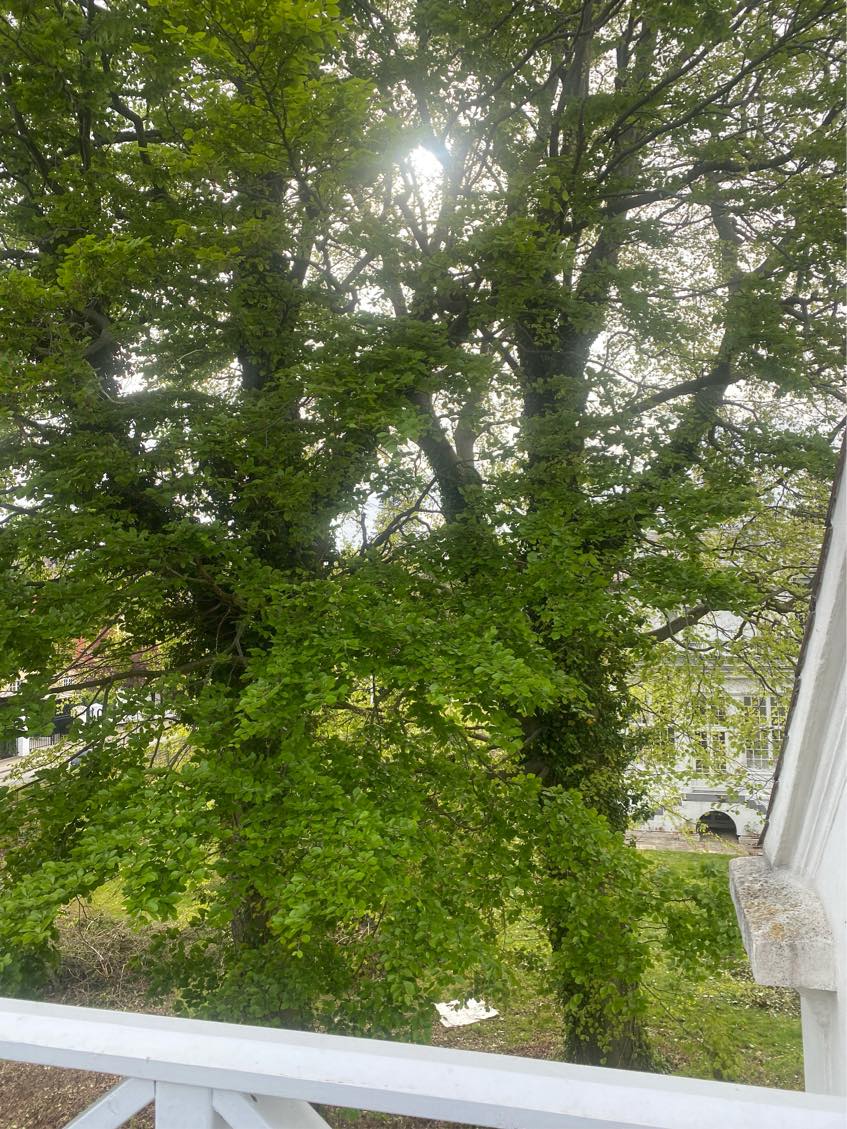 Intet arbejde ønskes