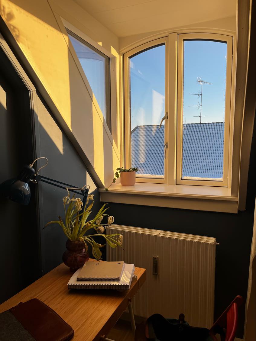 Window cleaning inside and outside