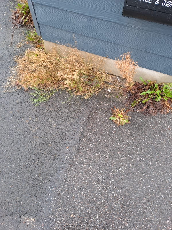 Ukrudt fjernelse og hæk klipning