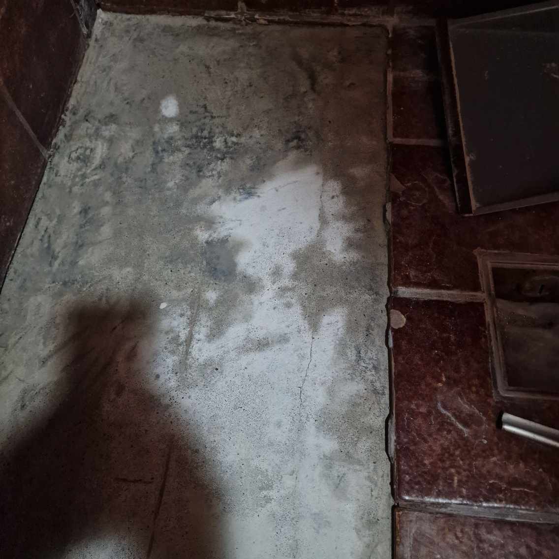 Murere til min bruseniche