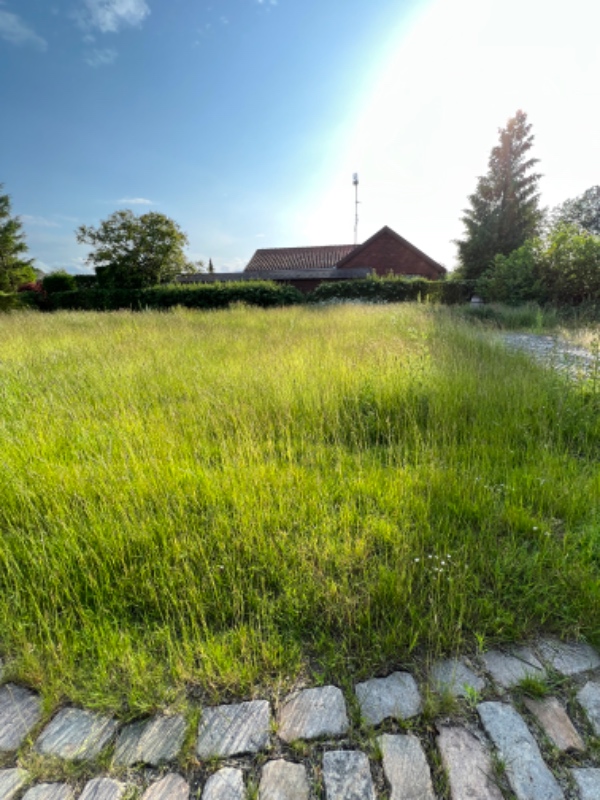 Slå græs og klippe hæk i hvidovre