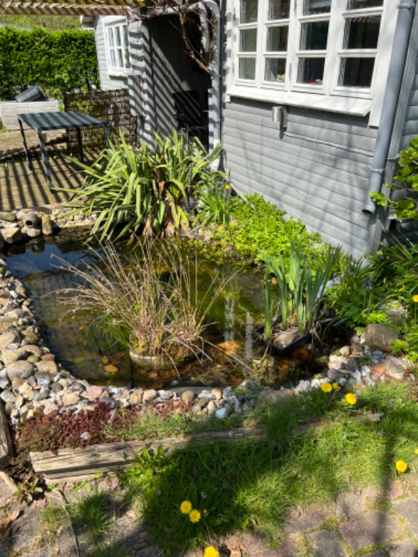 Havearbejde i kolonihave