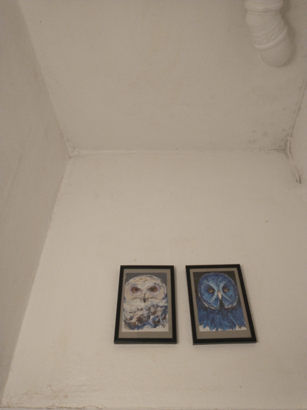 Vi skal have spartlet, filtet og malet vægge og loft vores lille københavnertoilet ( over flisenive