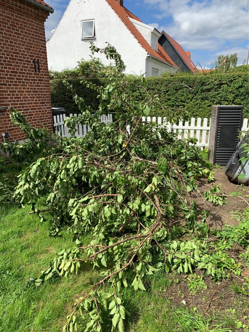 Bortkørsel af haveaffald