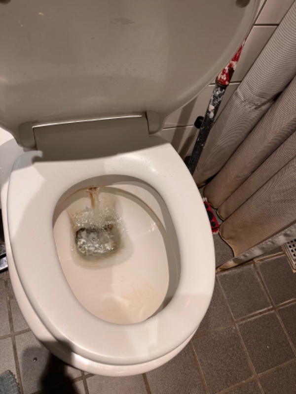 Toilet flusher
