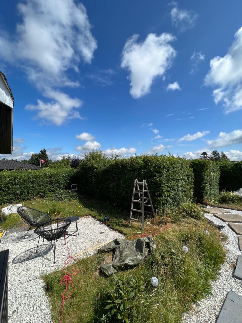 Hæk skal klippes ned til 185