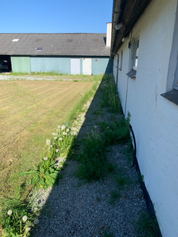 Fjernelse af ukrudt på gårdsplads