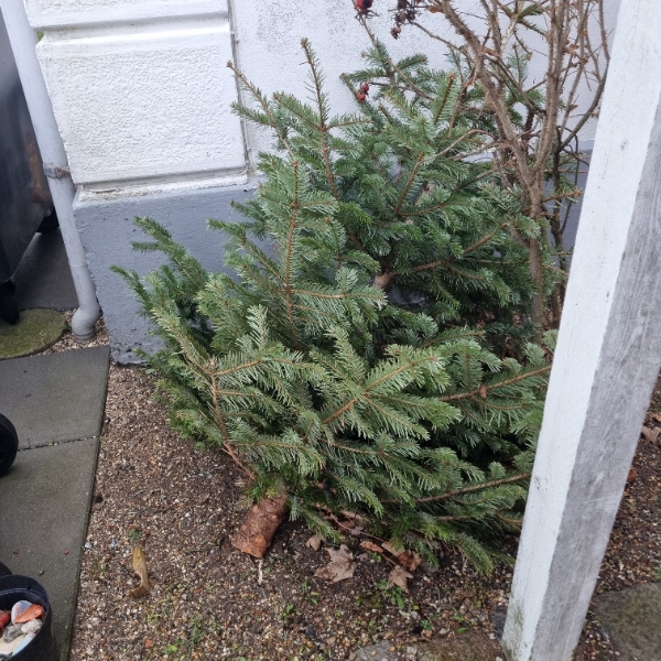 Køre div på gebbrugsstationen