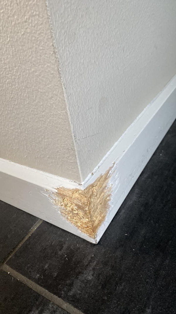 Udskiftning/rep af dørkarm/gulvpanel