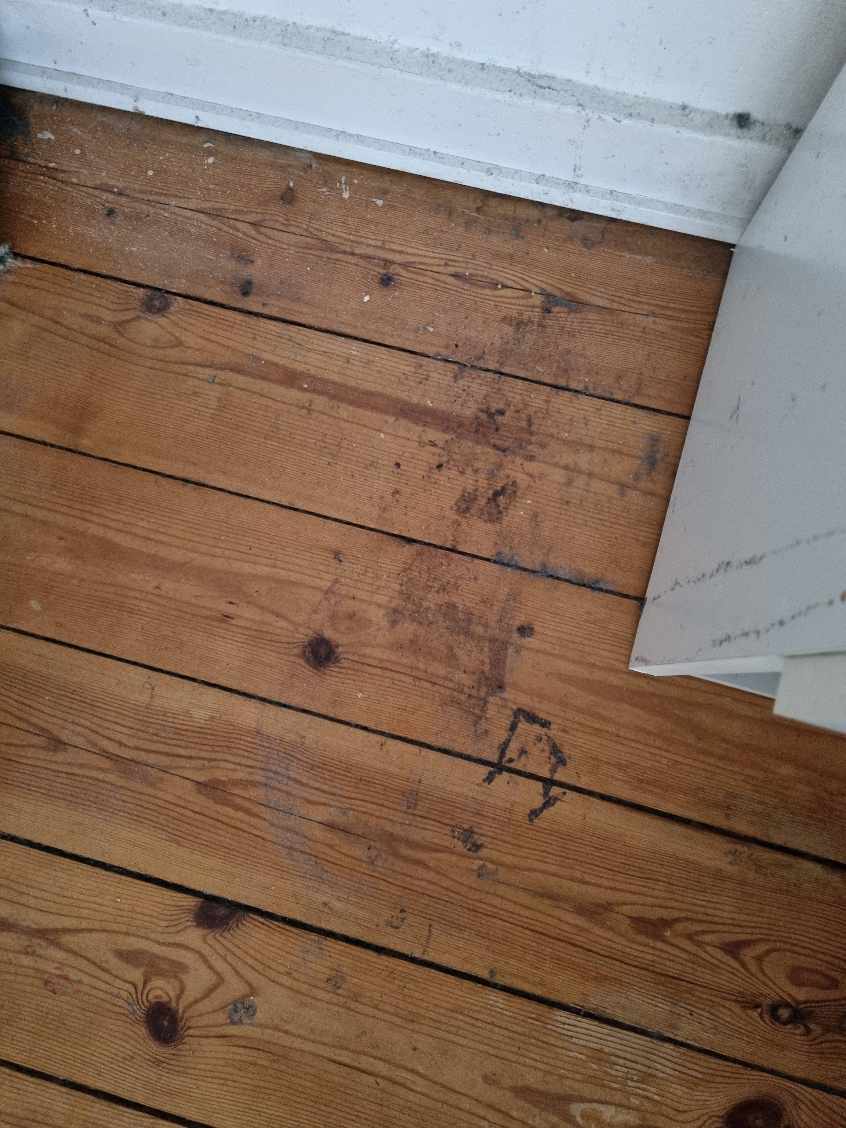 Rengøring af hjemmet, gulve overflader, ikke inden i skabe