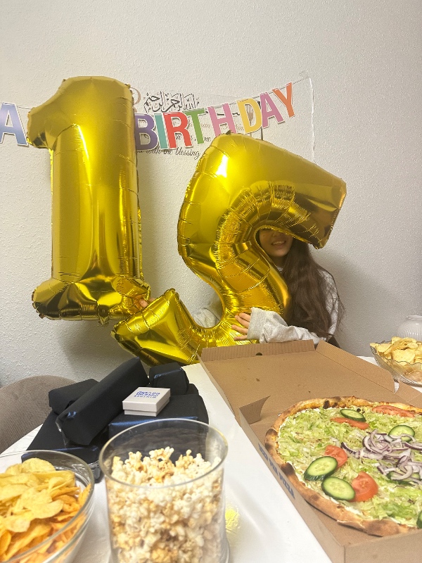 Montering af ovn (kabler skal bare tilknyttes)