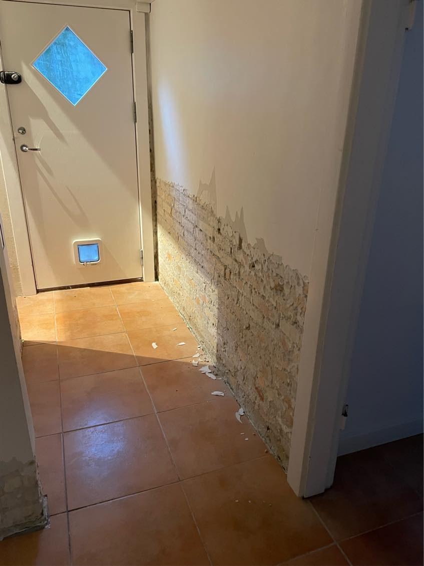 Muring af vægge med skalflex multirep