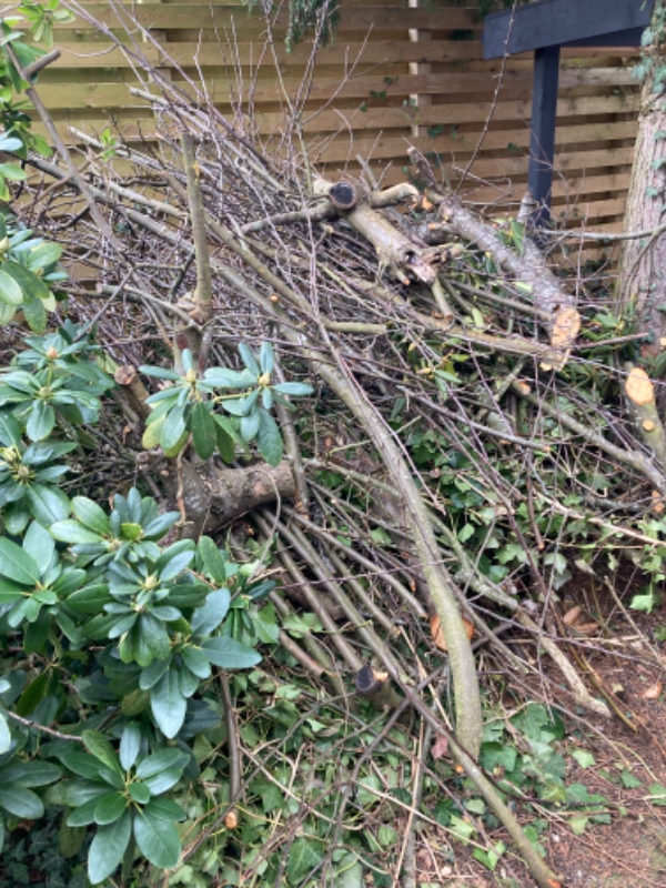 Flytte haveaffald på genbrugspladsen