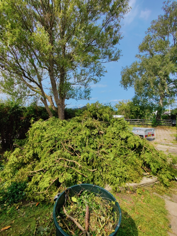 Afhentning af haveaffald