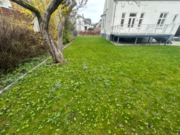 Plæneklipning og kanttrimning