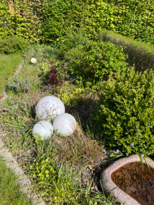 Gjort alle bede rene for ukrudt