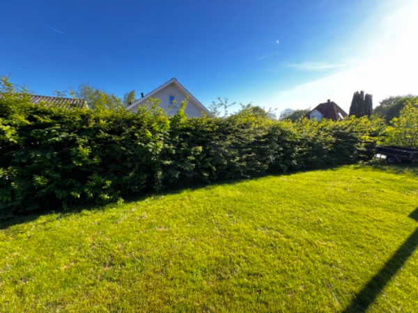 Beskæring og bortskaffelse af hæk