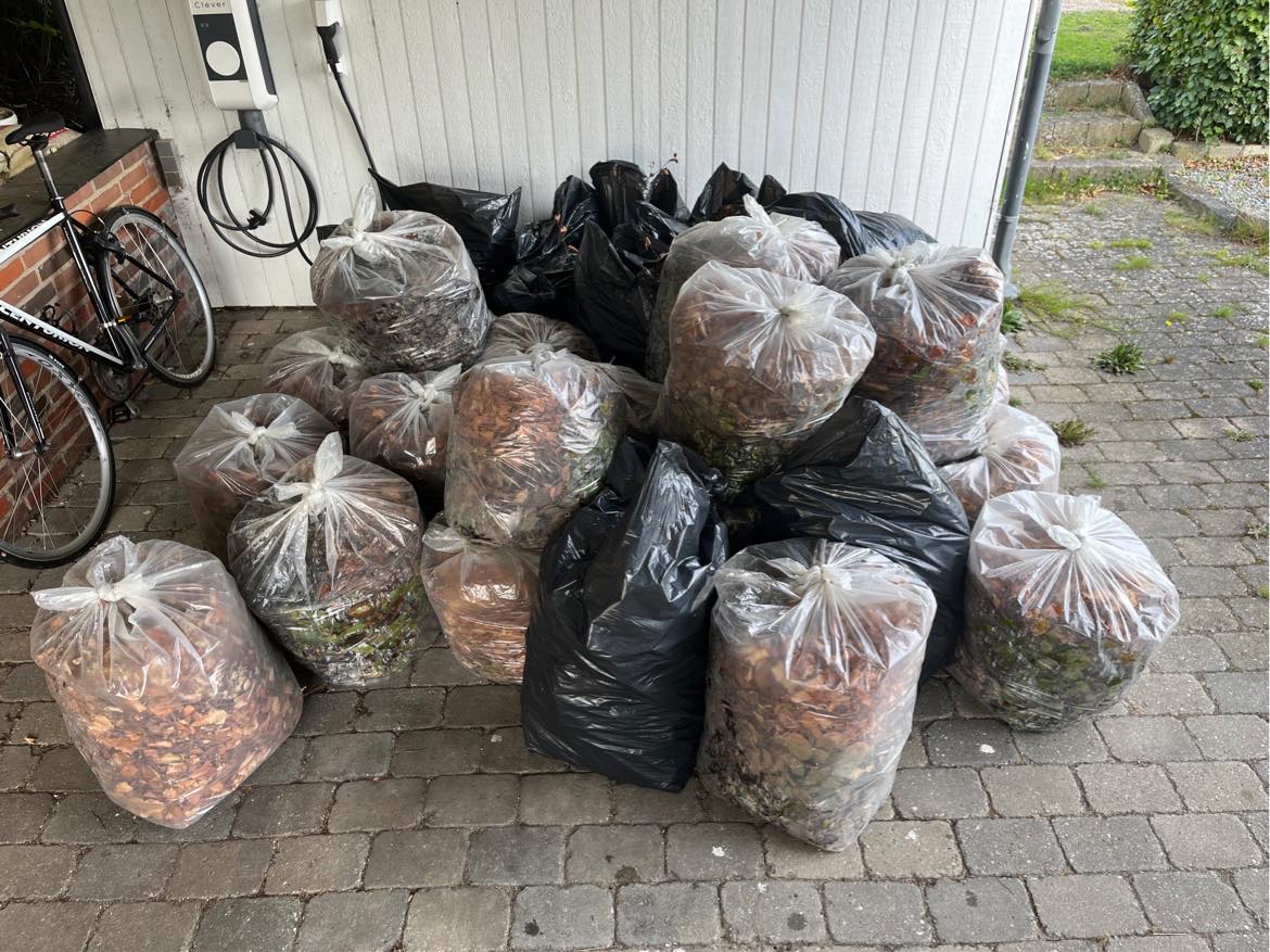 Bortkørsel af affald