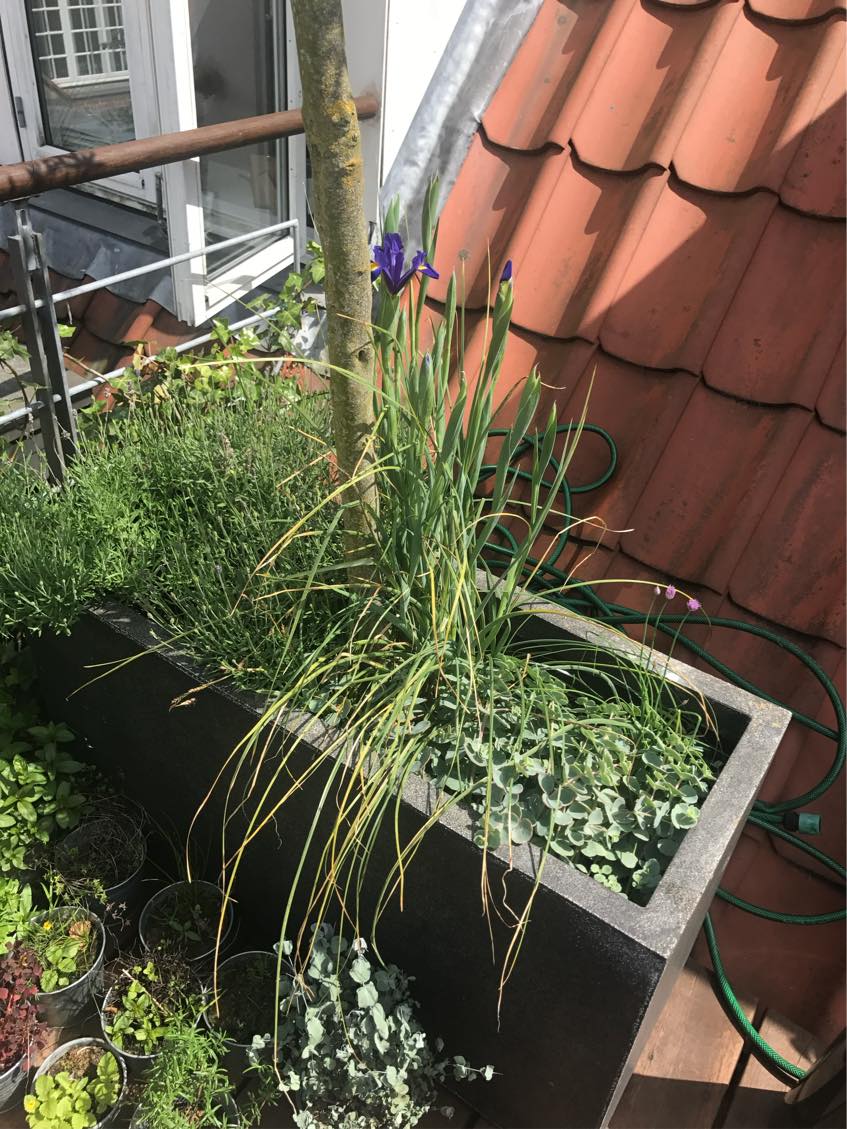 Bortskaffelse af møbler fra 3. sal