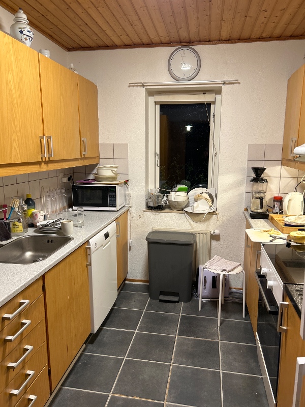 Grundig rengøring af trængende badeværelse og køkken