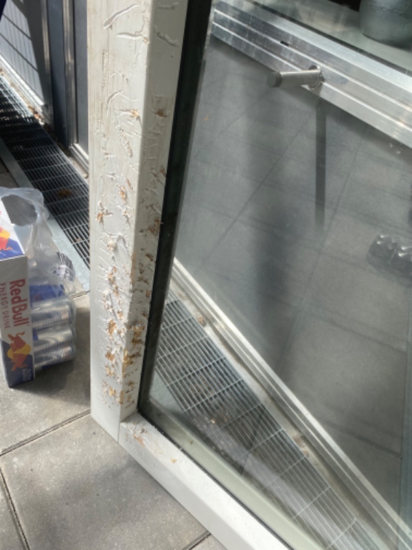  spartel, slip og maling