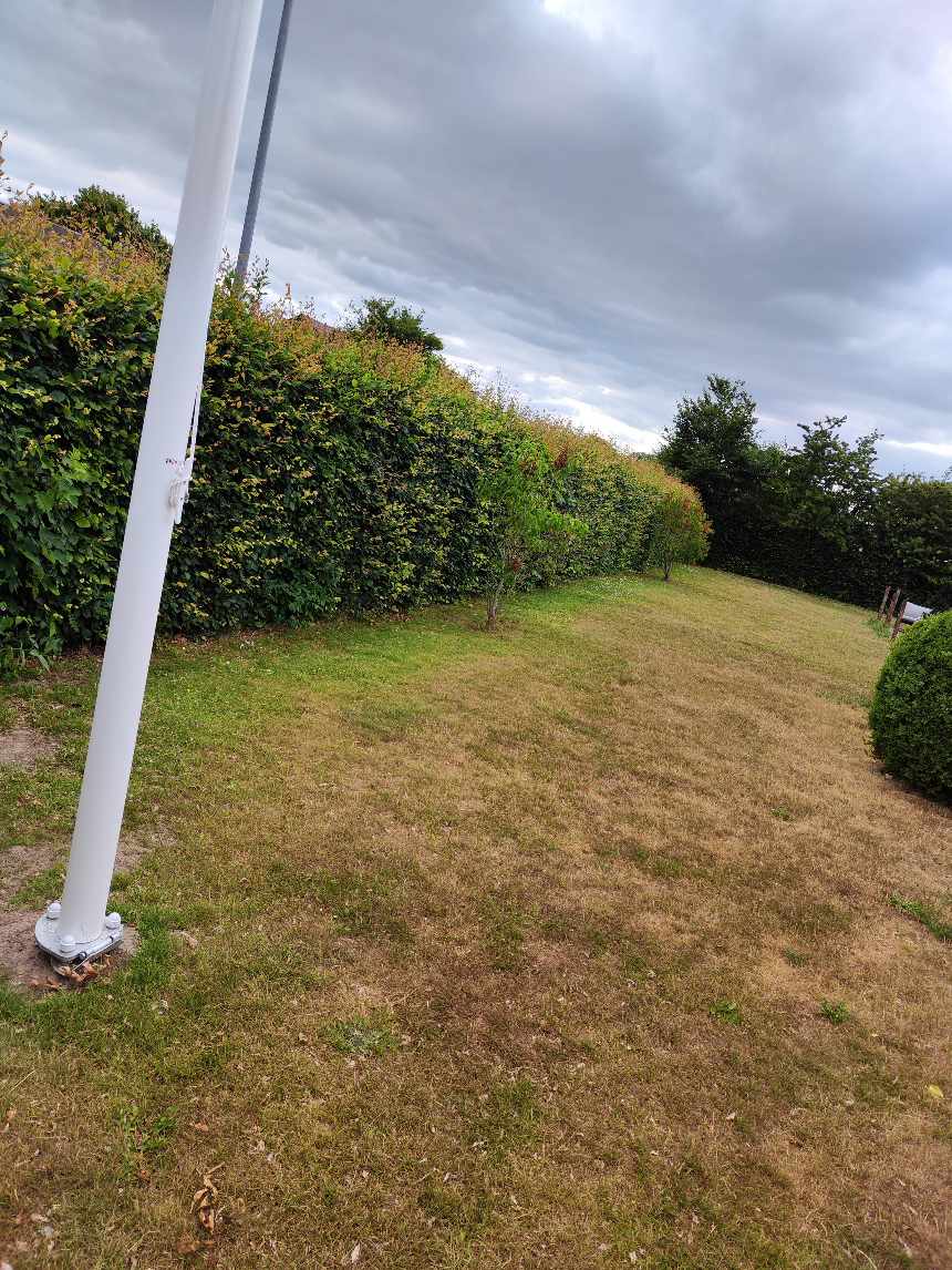 Hækkeklipning inkl. bortkørsel