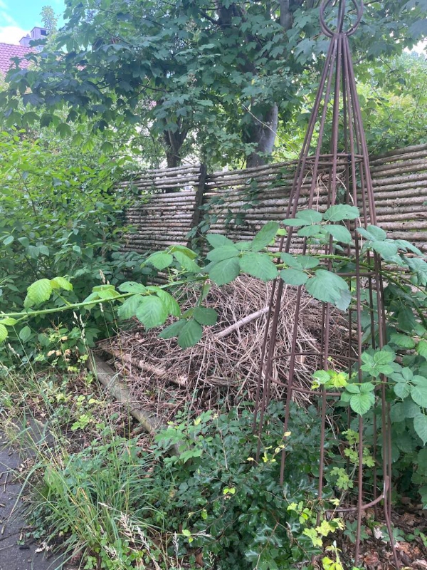 Fjernet byggeaffald, cykel mm fra have