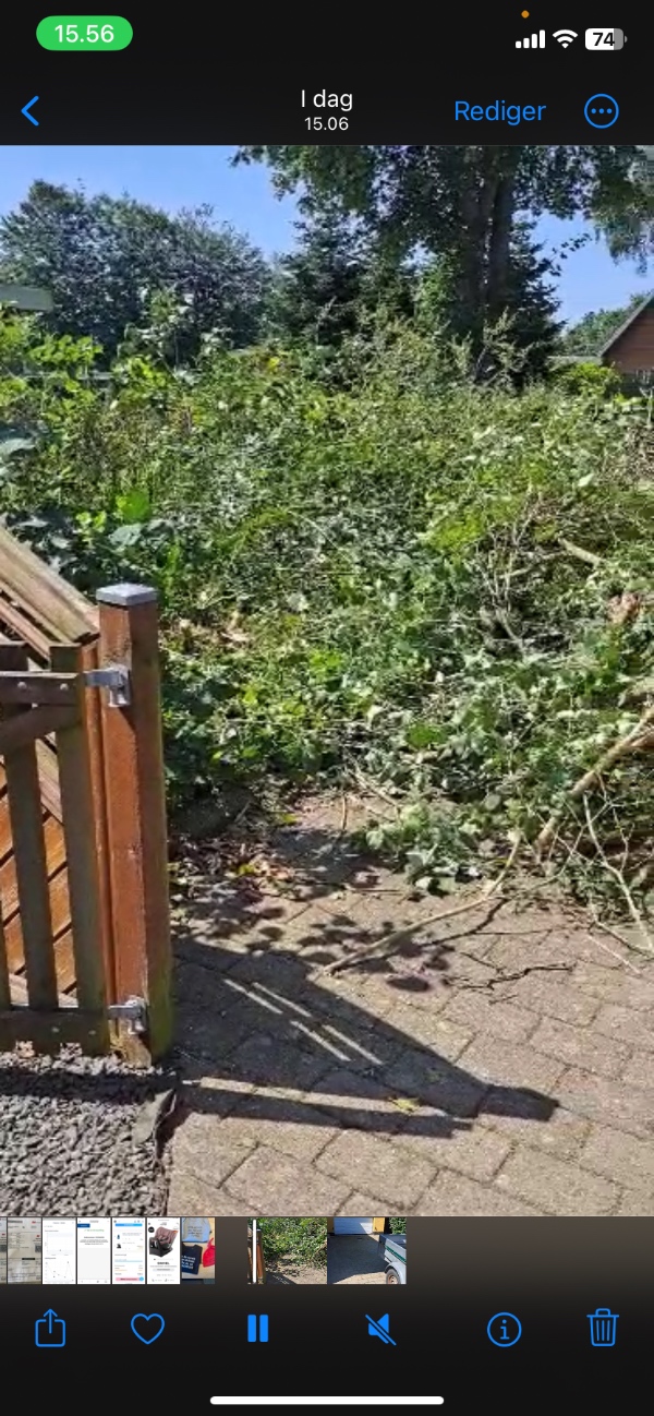 Fyldning af trailer og kørsel til genbrugsplads