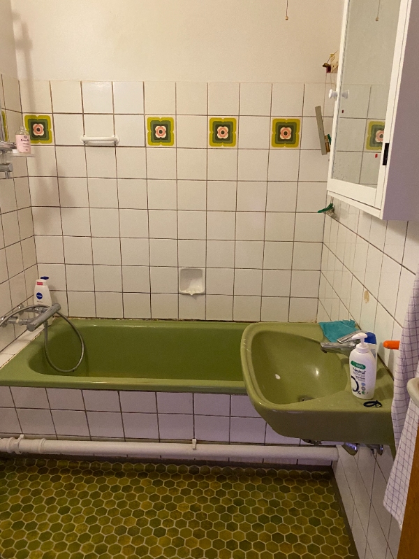 toilet renovation  all