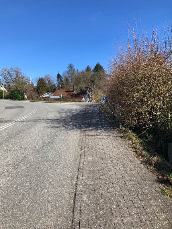 beskæring af ca. 3,5- 4 meter høj hæk. Den er ca. 30 meter lang