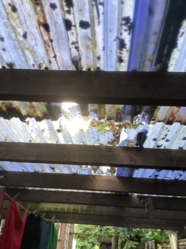 Trapezplader (polycabonat) på carport