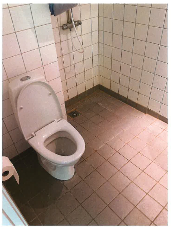 udflytningsrengøring