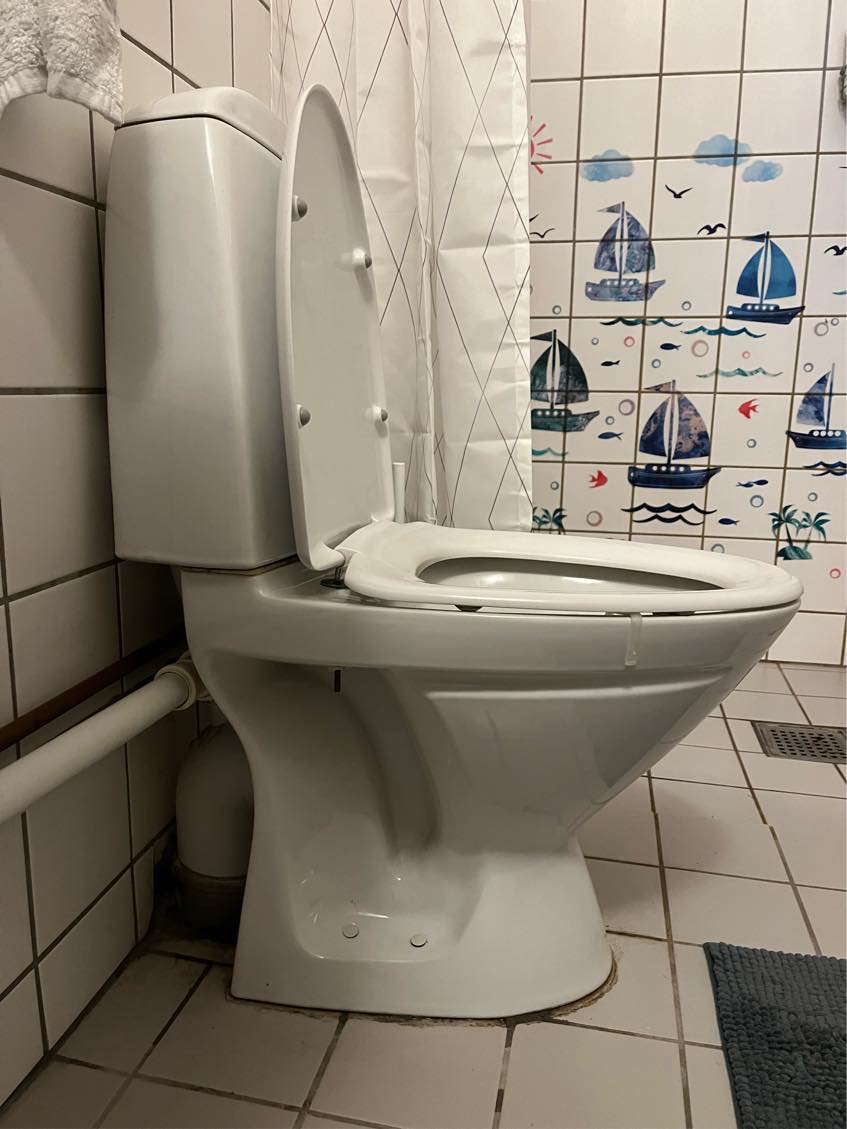 Afmontering og installering af toilet