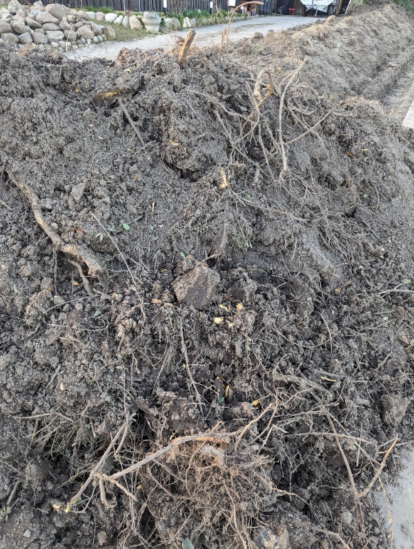 Afhentning af rødder ned en del jord omkring sig