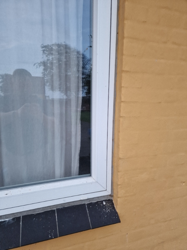 Udskiftning af 3 vinduer