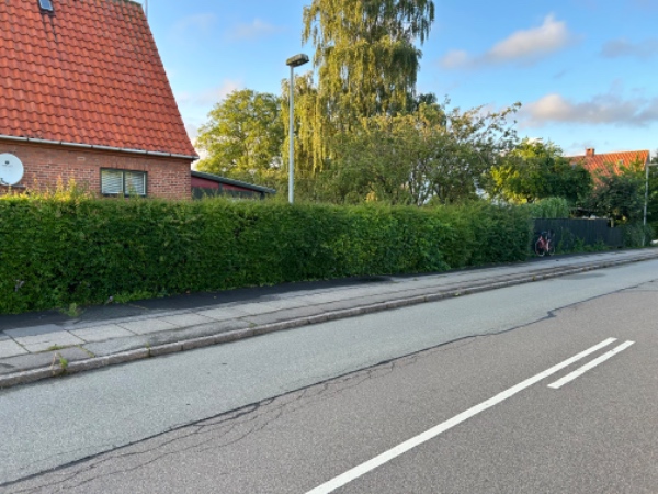 Hækkeklipning og affaldsfjernelse