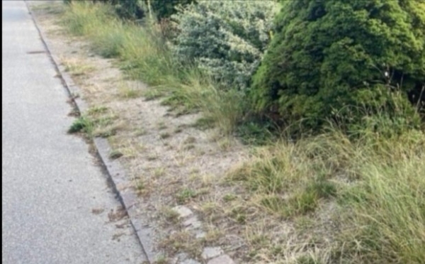 fjernes ukrudt på fortovet