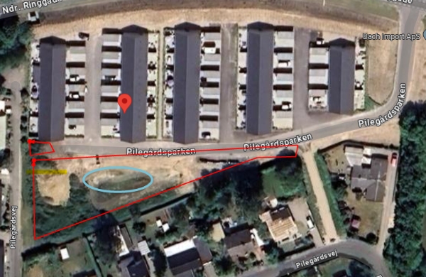 Akut græsslåning i Pinsen