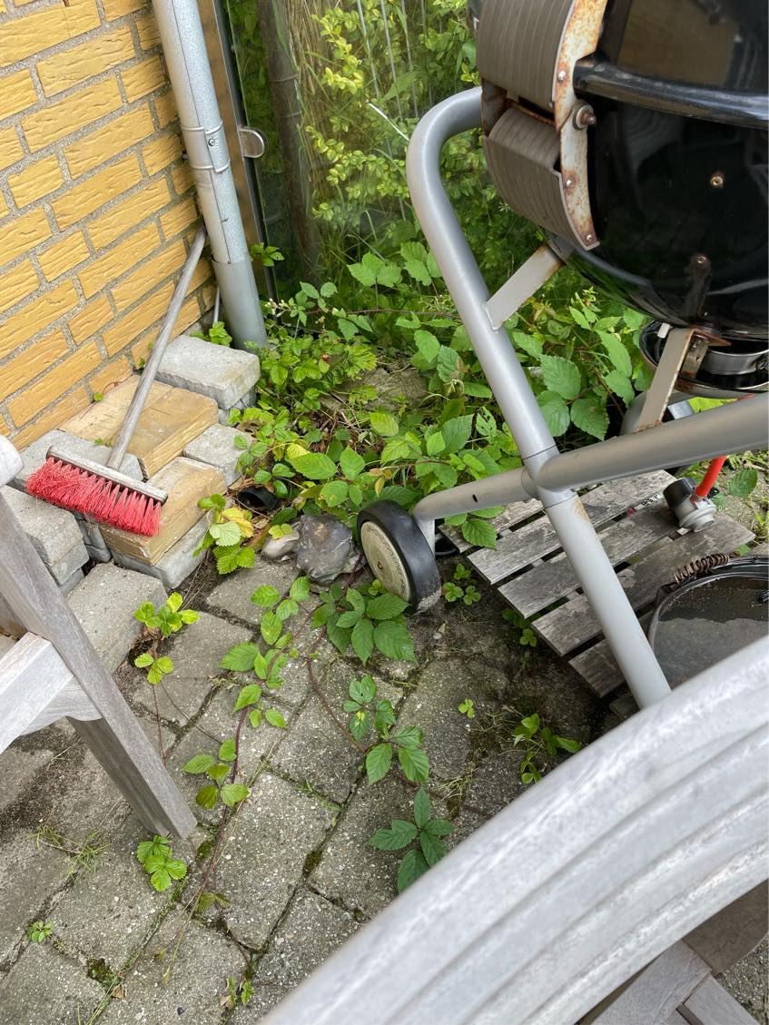 Fjernet ukrudt i indkørsel, og terrasse.