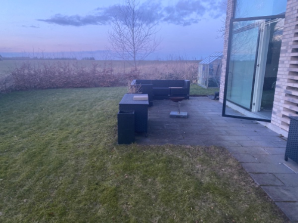 Plantet hæk planter