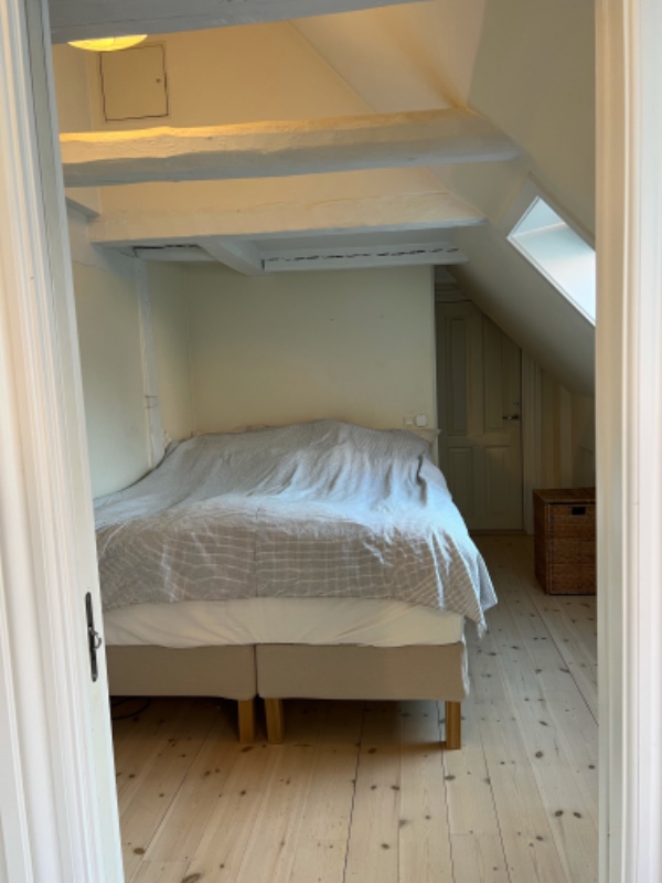 Fjerning af maling på hanebånd/loftsbjælker ca 15 stk a 3-4 meter