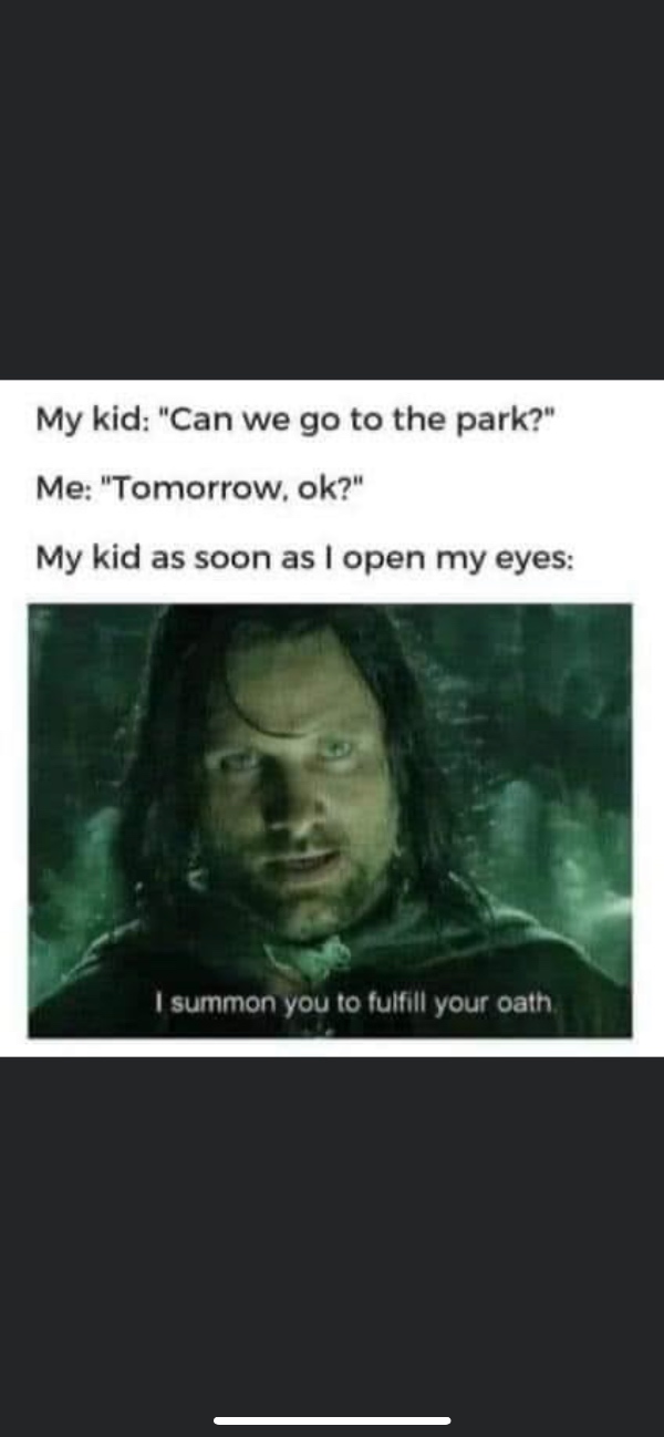 Slå græs og klippe hæk i hvidovre