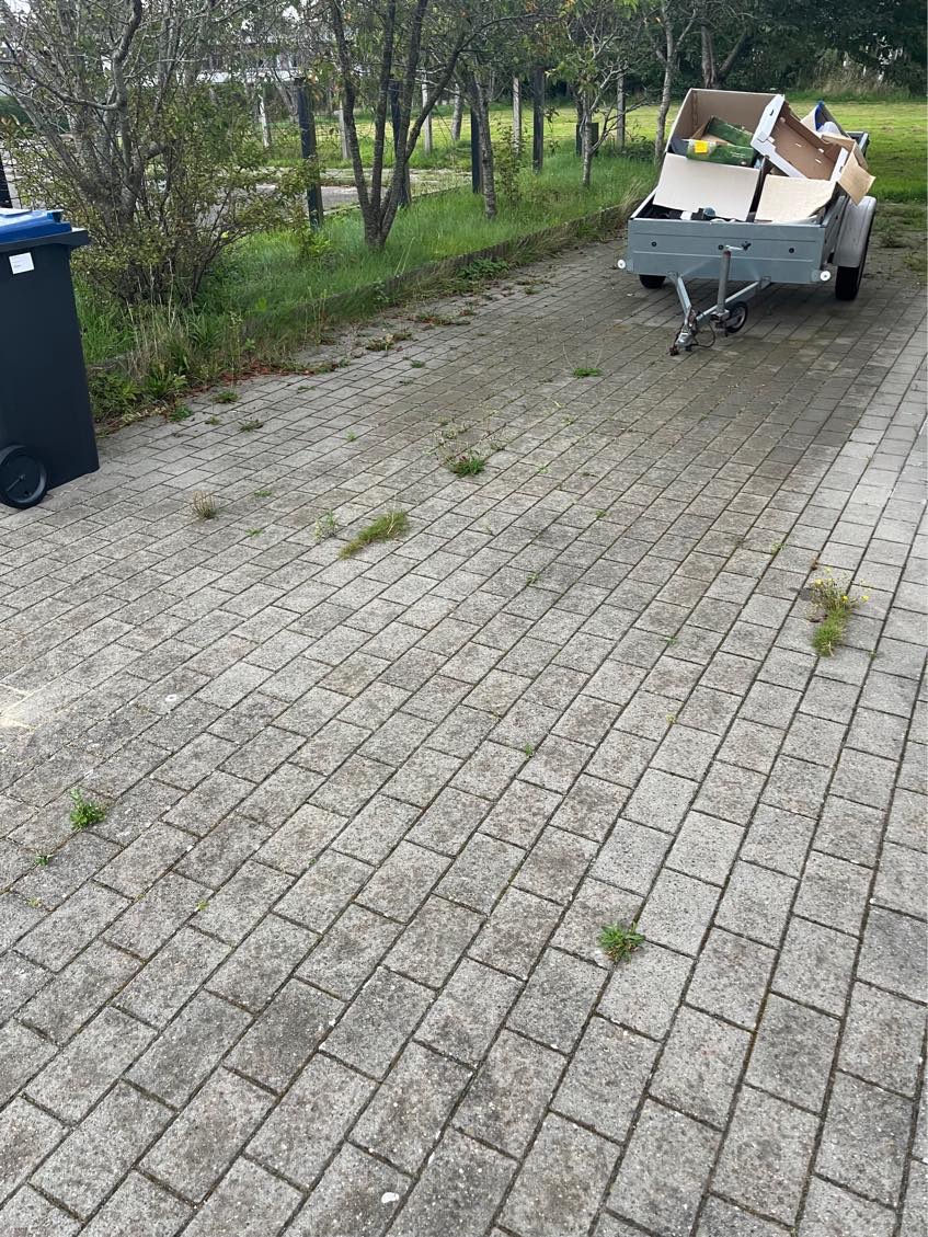 Fjerne ukrudt fra fliser