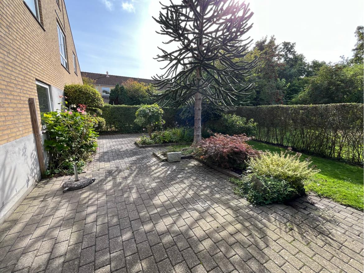 Vinterklargøring af have