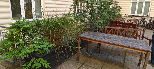 Bortskaffelse af jord og pallekasser, nedtagning af hegn mm.