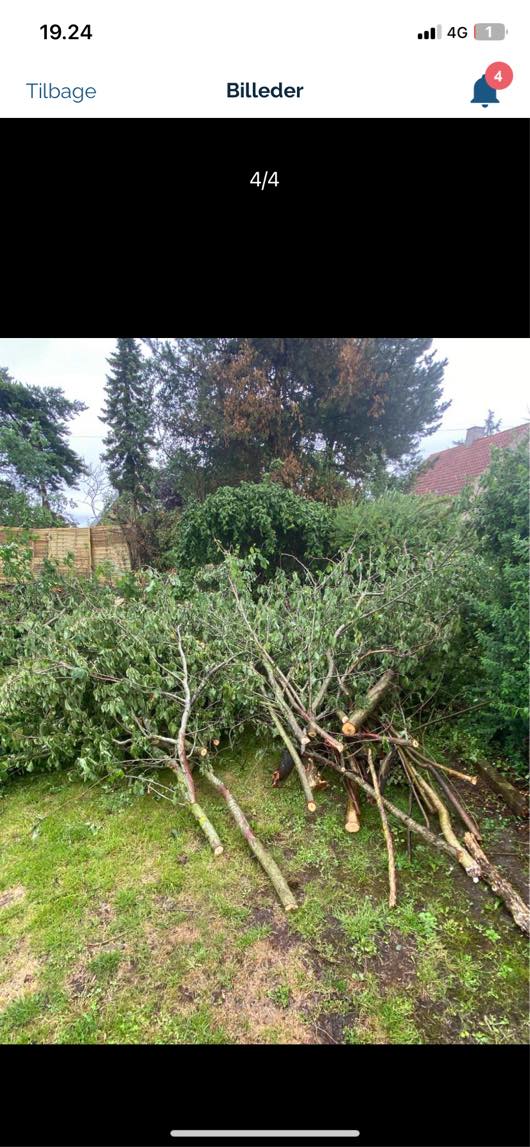 Bortførsel af haveaffald træer og store grene