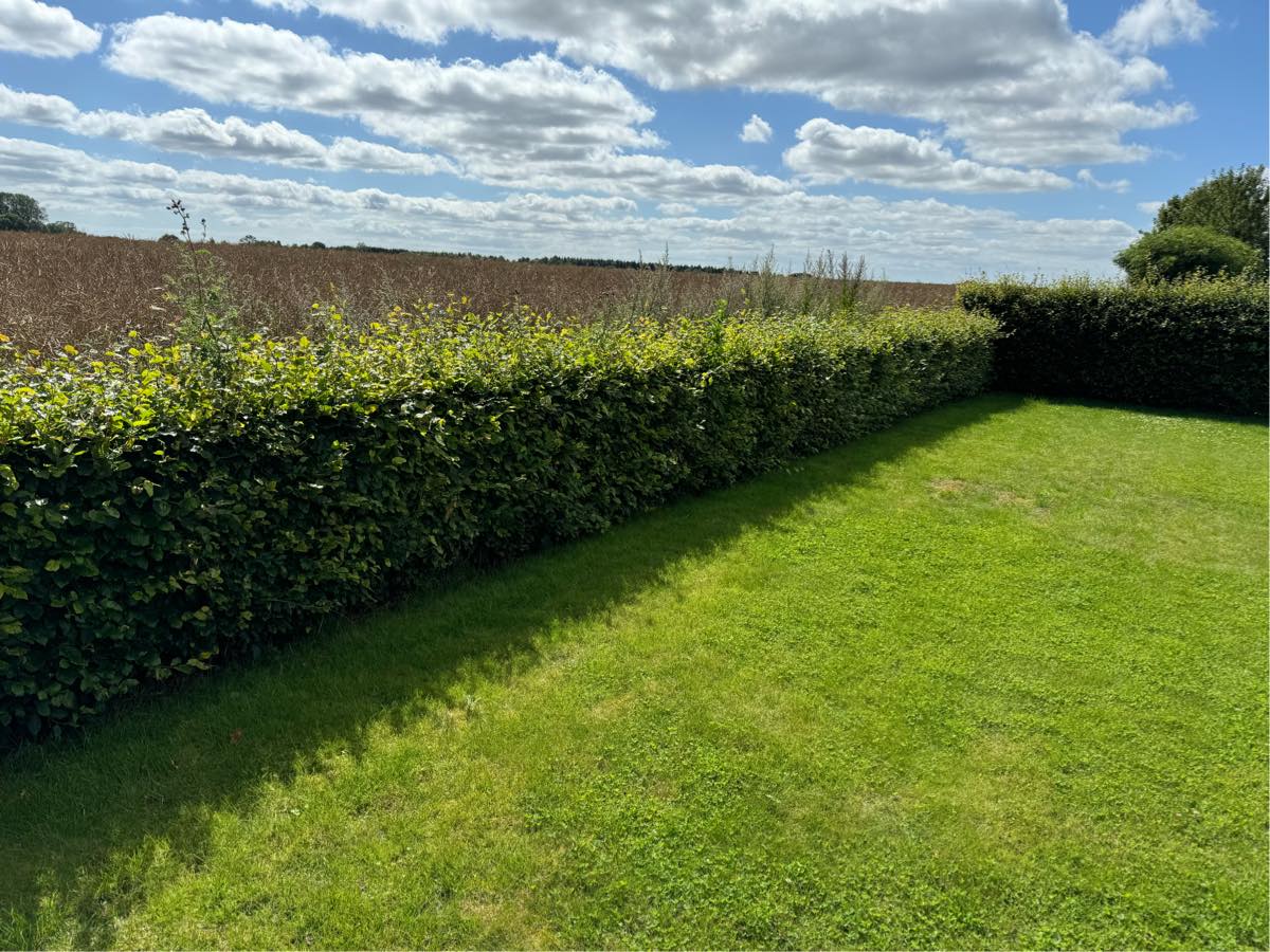 Hækkeklipning 3 sider